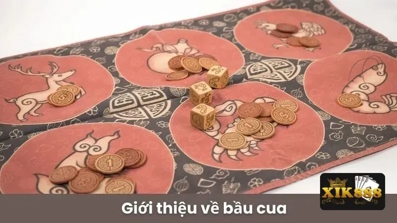 Áp dụng mẹo chơi bầu cua để thắng